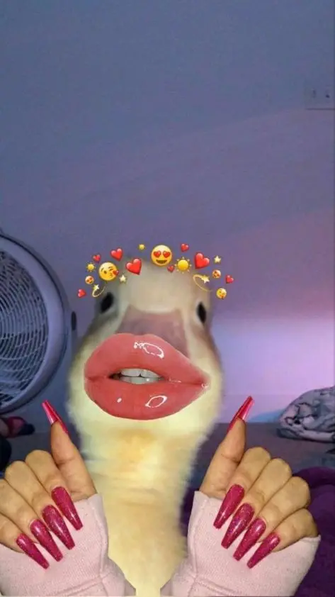 funny-pfp-clean funny-pfp-clean