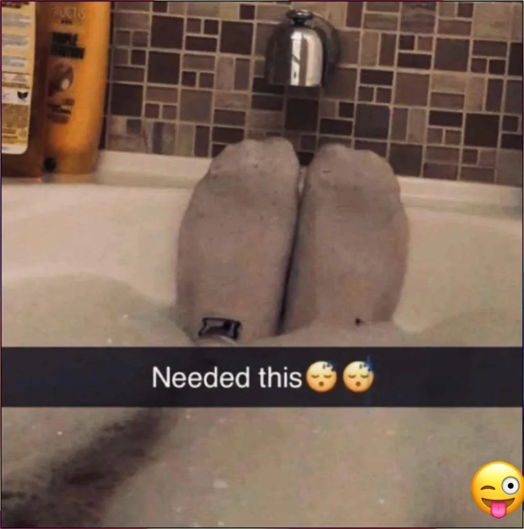 funny-pfp-ideas funny-pfp-ideas
