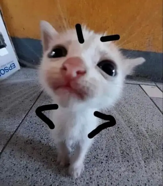 goofy-ahh-cringe-pfp goofy-ahh-cringe-pfp